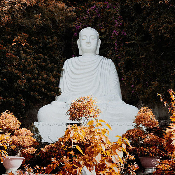 Buddhist Monk Preach